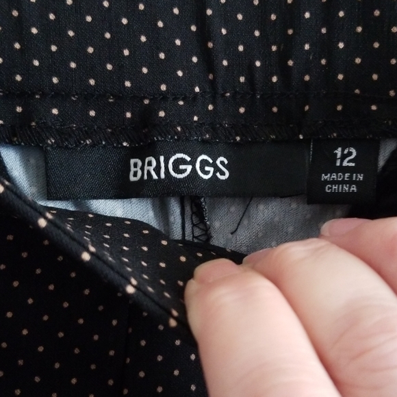 Briggs Pants - Picture 4 of 6